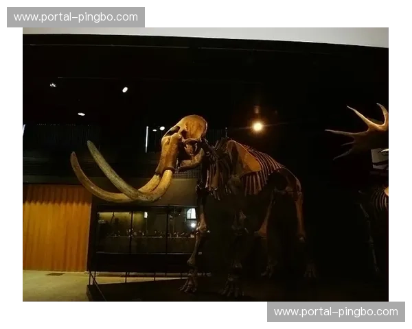 蓝血狂潮邂逅黔山傲骨：申花与贵州的绿茵双城记